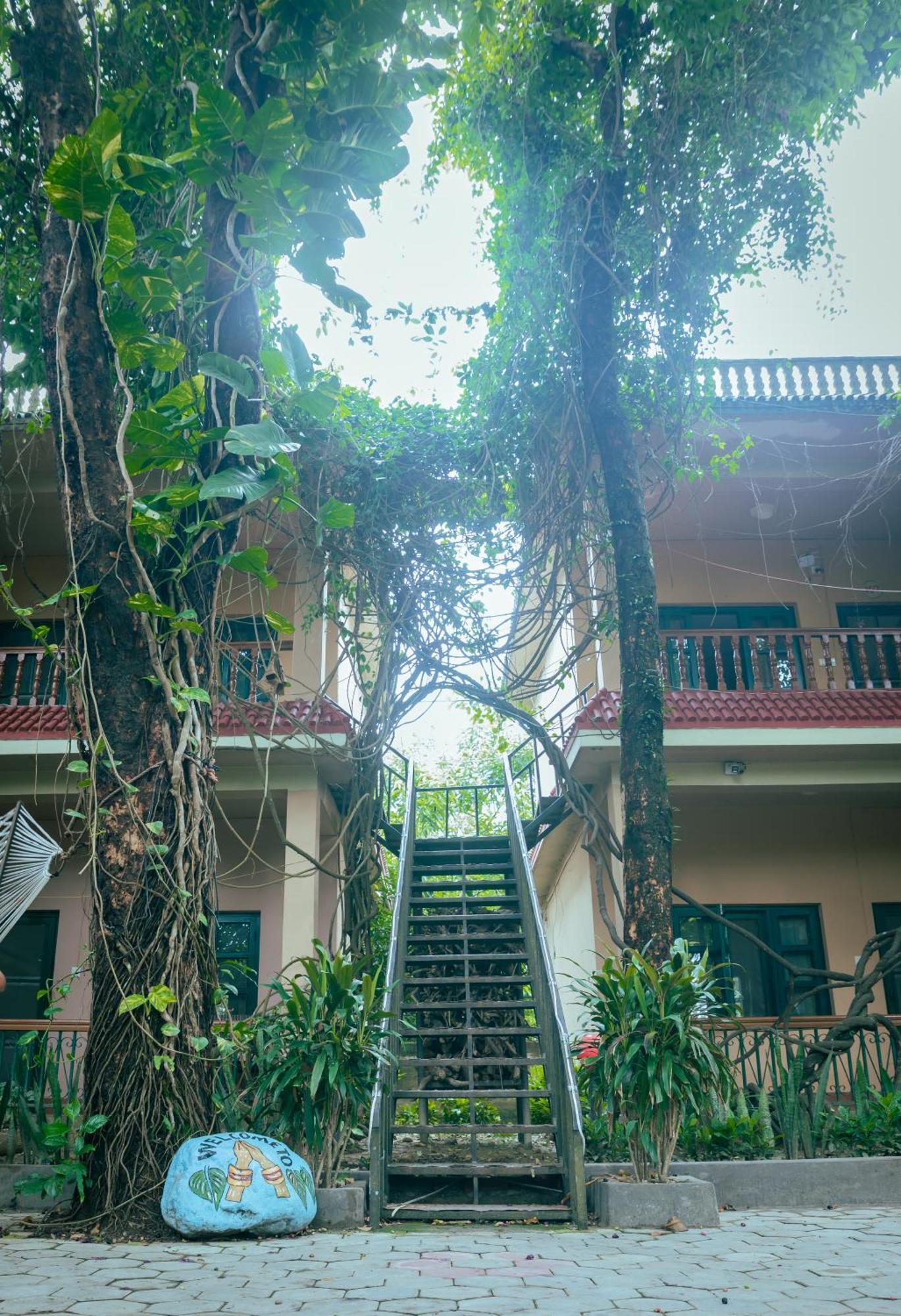 Wild Horizons Guest house